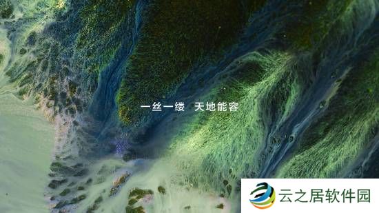 本站