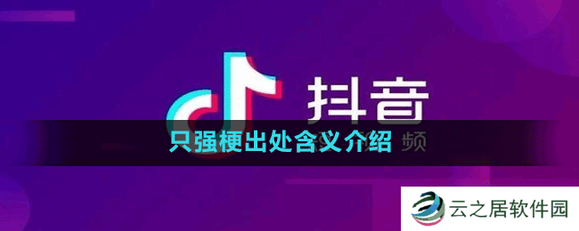 只强梗出处含义介绍