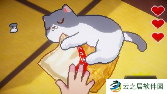 本站