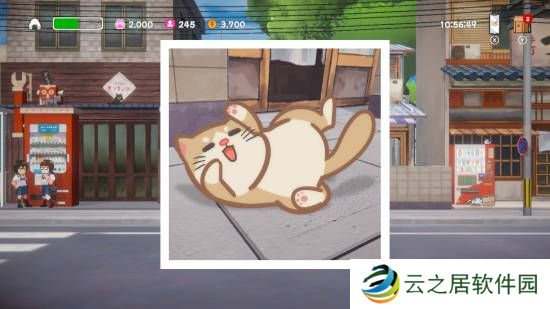 本站