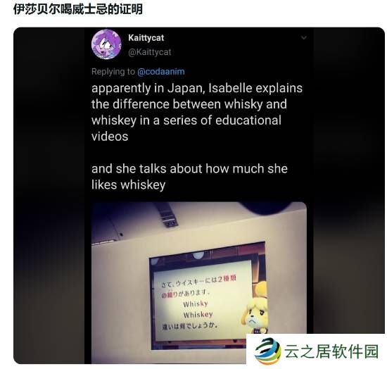 本站