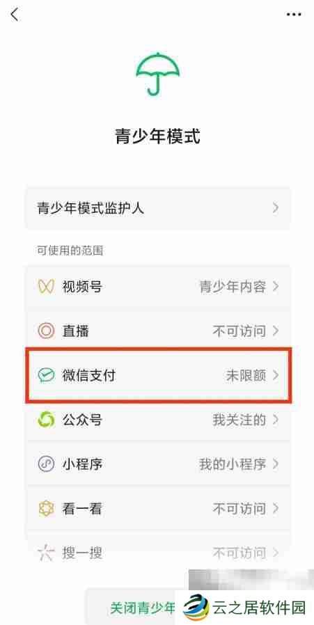 微信青少年模式如何设置限制付款 微信青少年模式设置限制付款教程