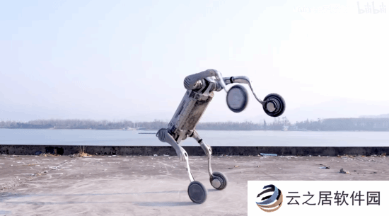 颠覆认知！国产机器人已经进化到这种程度了