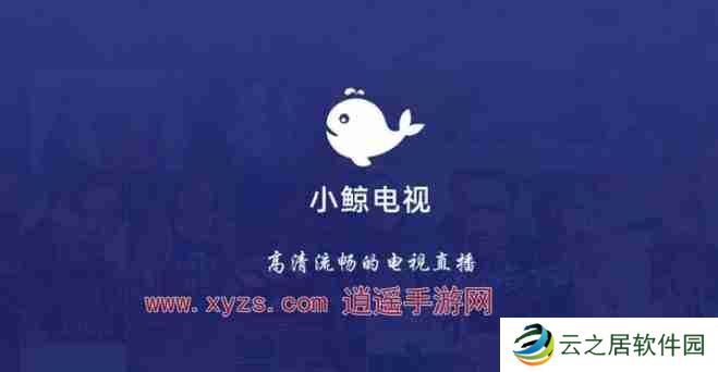 小鲸电视怎么看节目回放