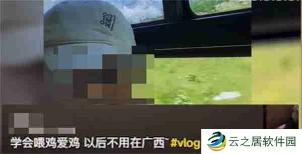 抖音学会喂鸡爱鸡以后不用在广西是什么梗