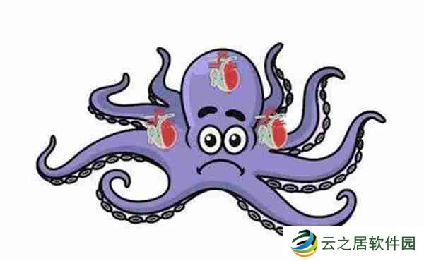 支付宝神奇海洋章鱼有几颗心脏